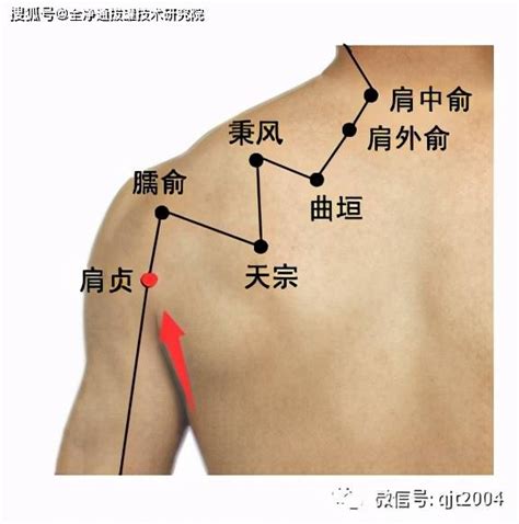 肩ㄩˊ穴|醫砭 » 經穴庫 » 肩髃